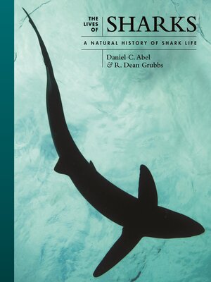 cover image of The Lives of Sharks